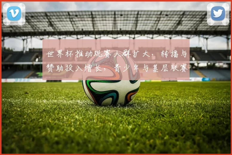 世界杯推动观赛人群扩大，转播与赞助投入增长，青少年与基层联赛受益