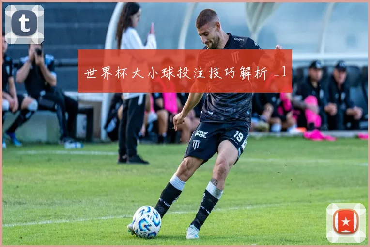 世界杯大小球投注技巧解析 _1