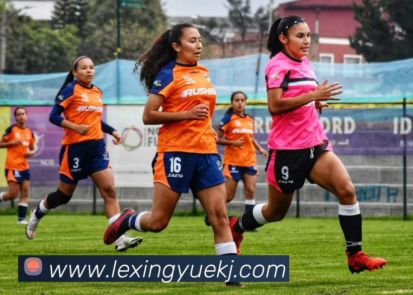 MILE米乐·(中国)平台生态图